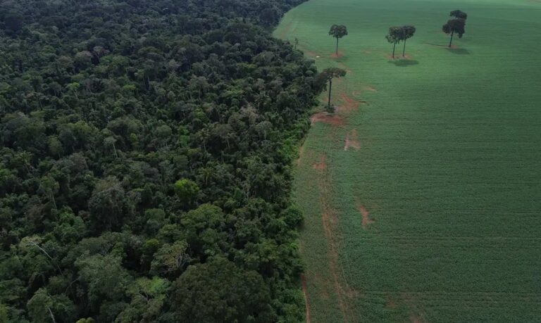 Homem que Afirma ter Comprado Fazenda na Bahia Não Consegue Reverter Penhora, Decisão do TST Homem que Afirma ter Comprado Fazenda na Bahia Não Consegue Reverter Penhora, Decisão do TST