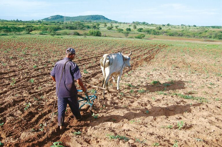 Inadimplência no Agronegócio do RN Atinge 12,8%, a Maior do Nordeste e 4ª do Brasil Inadimplência no Agronegócio do RN Atinge 12,8%, a Maior do Nordeste e 4ª do Brasil