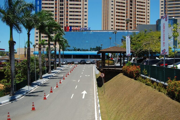 Mutirão de Saúde e Cidadania: Serviços Gratuitos em Salvador Mutirão de Saúde e Cidadania: Serviços Gratuitos em Salvador