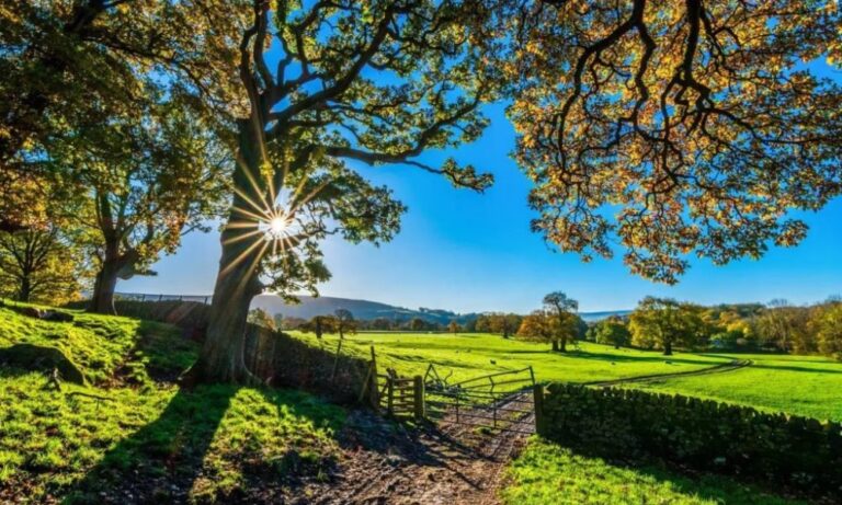 Regras Ambientais Transformam o Agronegócio: O Que Esperar em 2026 Regras Ambientais Transformam o Agronegócio: O Que Esperar em 2026