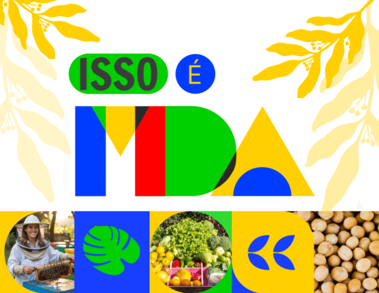 Retomada do Plano Safra da Agricultura Familiar na Bahia: Investimentos Superam R$5,1 Bilhões Retomada do Plano Safra da Agricultura Familiar na Bahia: Investimentos Superam R$5,1 Bilhões