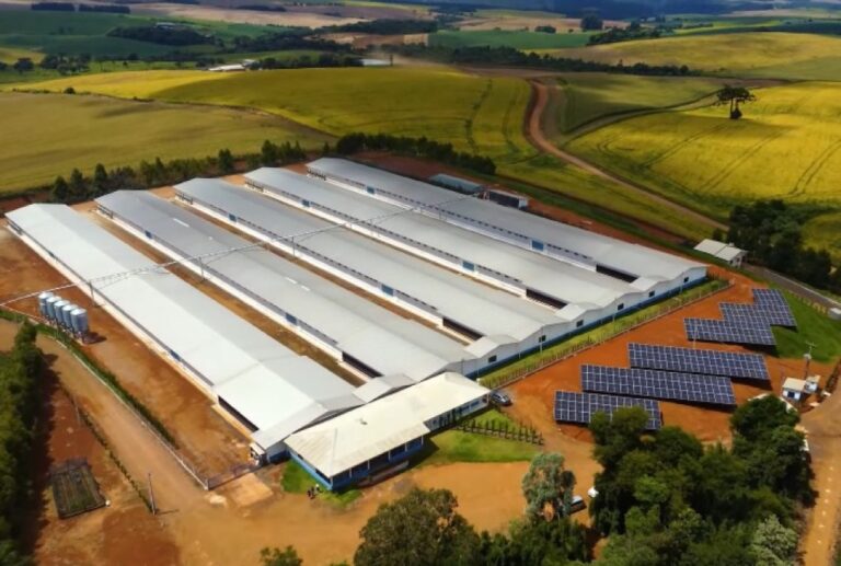 Seara Impulsiona Sustentabilidade: 75% das Granjas Usam Energia Renovável Seara Impulsiona Sustentabilidade: 75% das Granjas Usam Energia Renovável