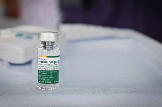 Bahia Inicia Distribuição de Vacina Contra a Dengue para Todos os Municípios Bahia Inicia Distribuição de Vacina Contra a Dengue para Todos os Municípios