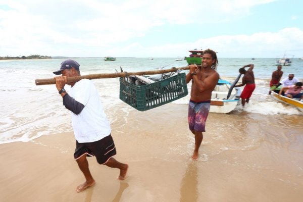 Bahia Institui Lei para Pesca e Aquicultura Sustentável Bahia Institui Lei para Pesca e Aquicultura Sustentável