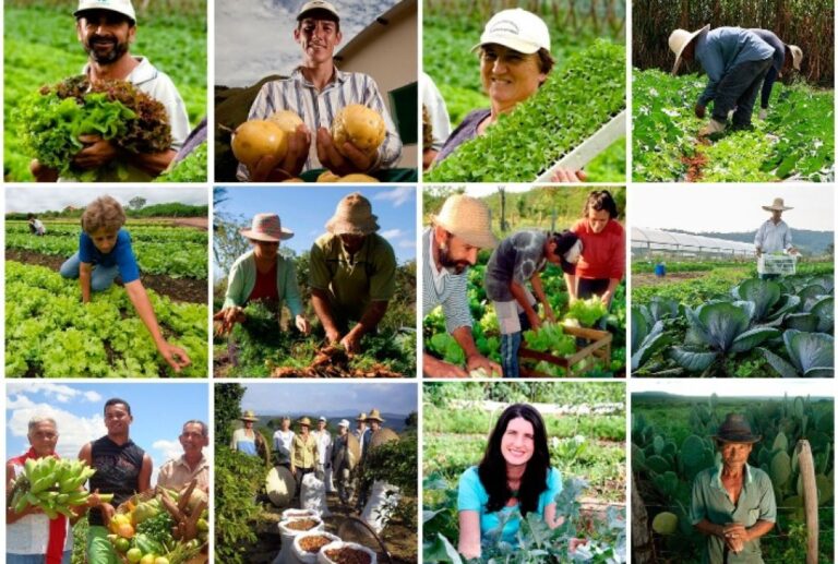 Bahia Investe R$ 50,2 Milhões para Fortalecer Agricultura Familiar e Merenda Escolar Bahia Investe R$ 50,2 Milhões para Fortalecer Agricultura Familiar e Merenda Escolar