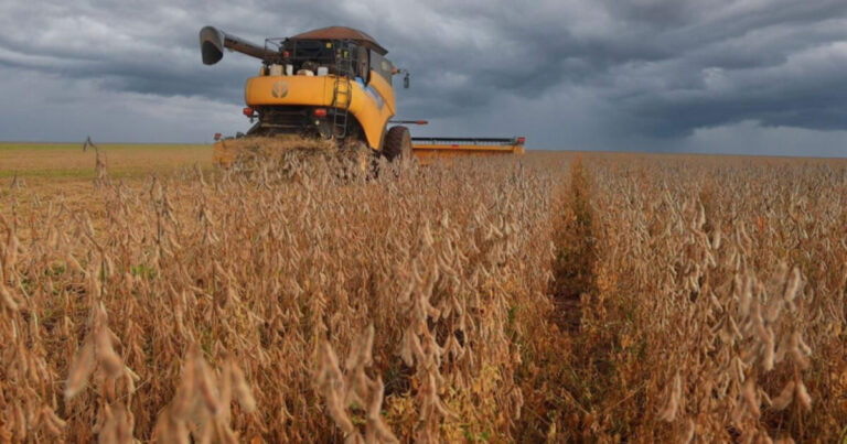 Bahia se Mantém entre os 10 Maiores Produtores de Grãos do Brasil em 2026 Bahia se Mantém entre os 10 Maiores Produtores de Grãos do Brasil em 2026