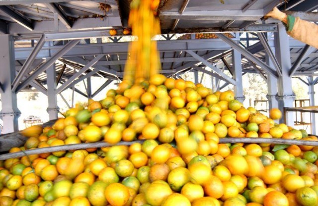 Bahia se Mantém entre os Dez Maiores Produtores de Grãos do Brasil em 2026 Bahia se Mantém entre os Dez Maiores Produtores de Grãos do Brasil em 2026