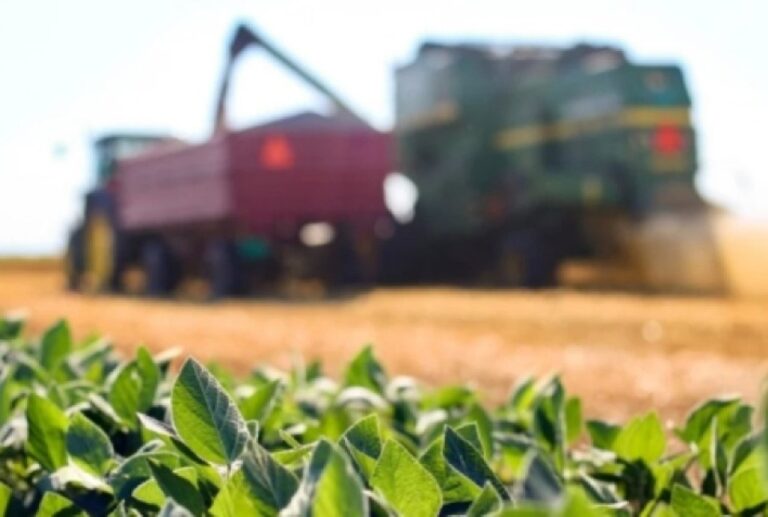 Reforma Tributária: Impactos na Competitividade de Bioinsumos e Fertilizantes no Brasil Reforma Tributária: Impactos na Competitividade de Bioinsumos e Fertilizantes no Brasil