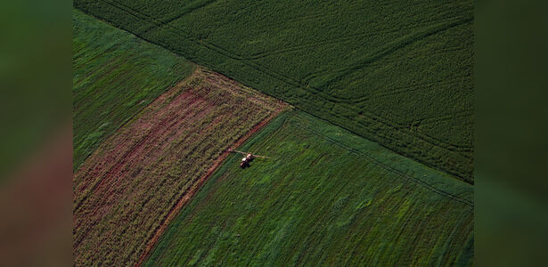 Top 10 Cidades Mais Ricas do Agronegócio no Brasil: Conheça o Ranking Top 10 Cidades Mais Ricas do Agronegócio no Brasil: Conheça o Ranking