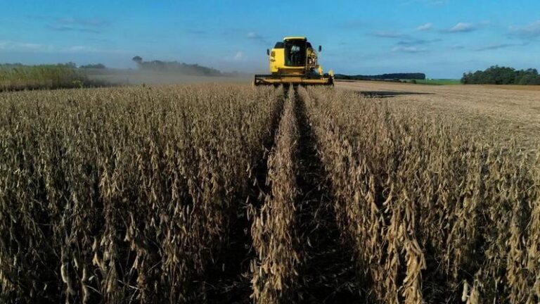 Agroconsult Reajusta Previsão da Safra de Soja no Brasil para 2025/26