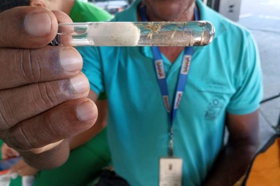 Bahia Regula Acesso a Imóveis em Ações de Vigilância em Saúde Bahia Regula Acesso a Imóveis em Ações de Vigilância em Saúde