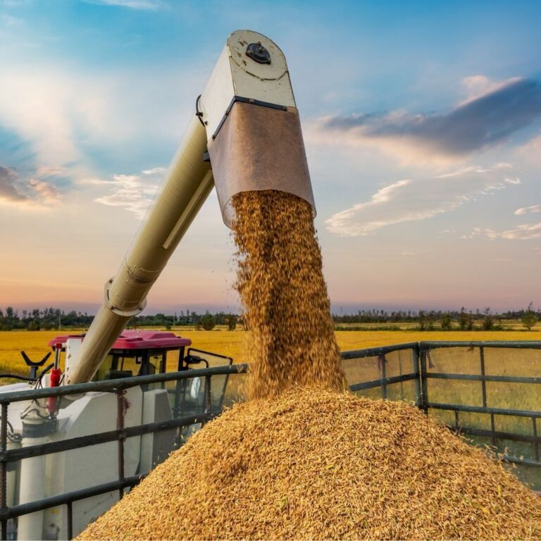 Conflito no Oriente Médio Impacta Preços do Diesel e Preocupa o Agronegócio Brasileiro Conflito no Oriente Médio Impacta Preços do Diesel e Preocupa o Agronegócio Brasileiro