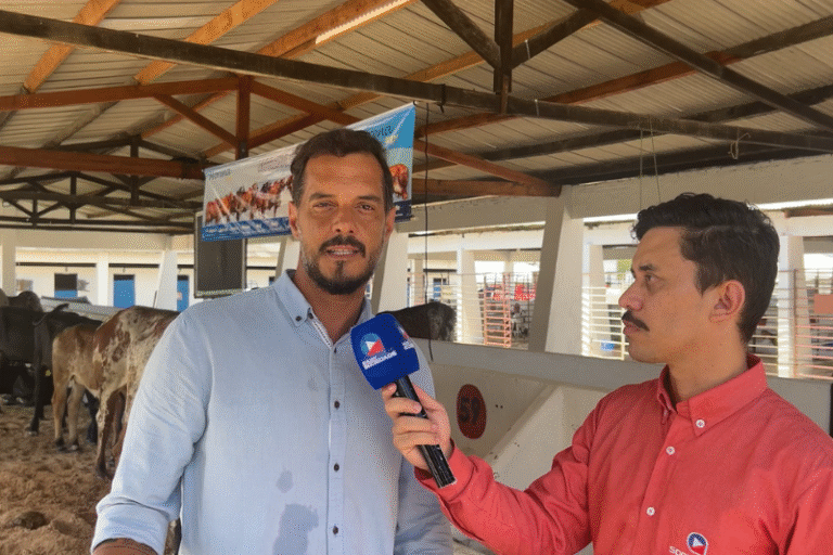 Exposição de Animais Destaca o Agronegócio na Sealba Alagoinhas Exposição de Animais Destaca o Agronegócio na Sealba Alagoinhas
