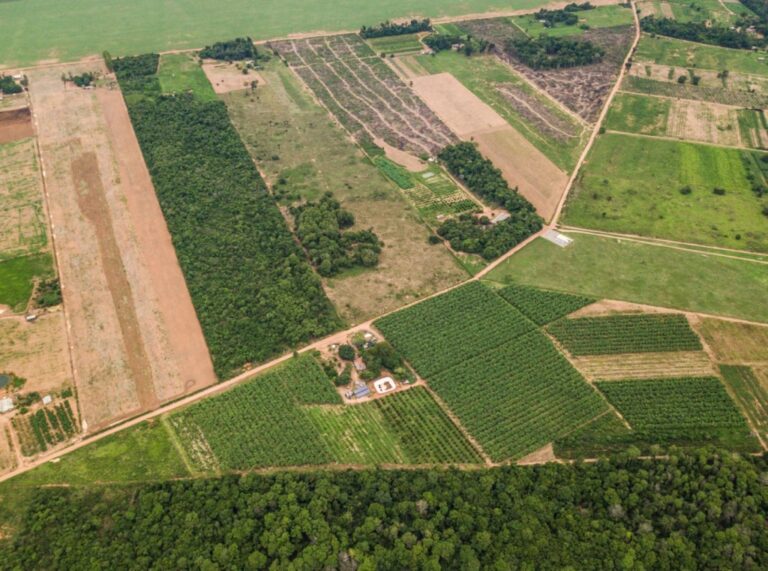 Mudança Climática na Europa e o Impacto nas Vendas de Terras Brasileiras a Estrangeiros Mudança Climática na Europa e o Impacto nas Vendas de Terras Brasileiras a Estrangeiros