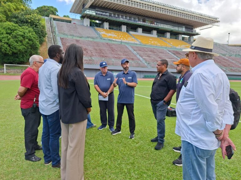 Mudança no Estádio de Pituaçu: Gramado Será Substituído a Partir de 6 de Abril Mudança no Estádio de Pituaçu: Gramado Será Substituído a Partir de 6 de Abril