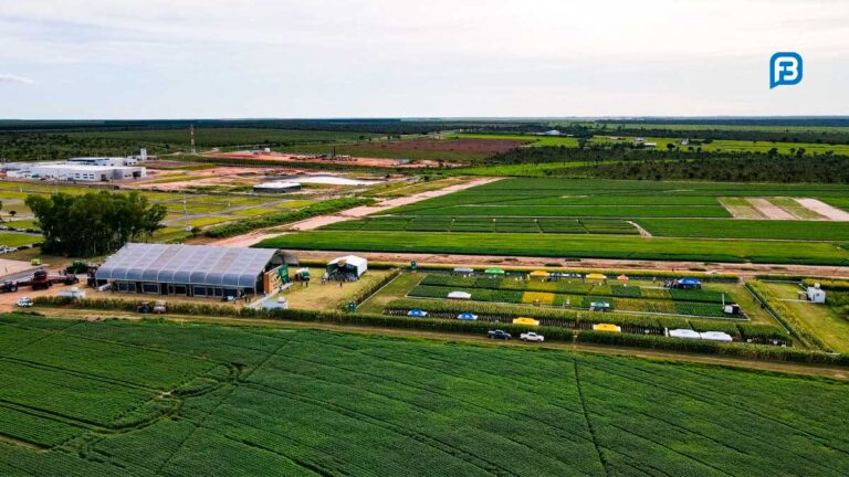 Passarela da Soja 2026: Inovação e Sustentabilidade no Agronegócio Passarela da Soja 2026: Inovação e Sustentabilidade no Agronegócio