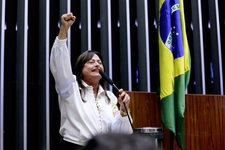 Prioridade Nacional: A Vida das Mulheres no Brasil