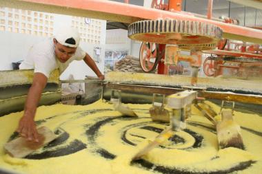 Seminário da Seagri Impulsiona a Produção de Mandioca na Bahia Seminário da Seagri Impulsiona a Produção de Mandioca na Bahia