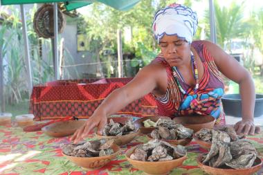 Turismo Rural na Bahia: Vivências Culturais em Comunidades Tradicionais Turismo Rural na Bahia: Vivências Culturais em Comunidades Tradicionais