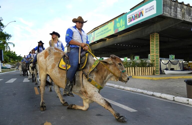 Calendário Agro na Bahia: Mais de 40 Eventos até 2026