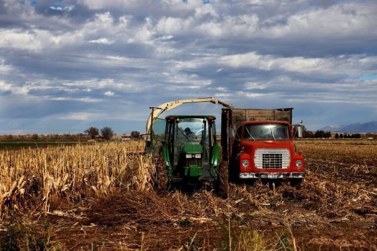Como o Preço do Diesel Eleva o Custo da Alimentação no Brasil Como o Preço do Diesel Eleva o Custo da Alimentação no Brasil