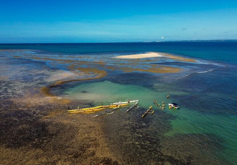 Expedição Encantos do Sul da Bahia: Uma Viagem Transformadora pela Natureza Expedição Encantos do Sul da Bahia: Uma Viagem Transformadora pela Natureza