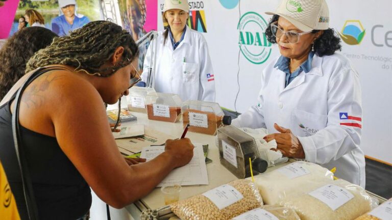Feriadão Agropecuário: Eventos Tradicionais Agitam o Interior da Bahia Feriadão Agropecuário: Eventos Tradicionais Agitam o Interior da Bahia