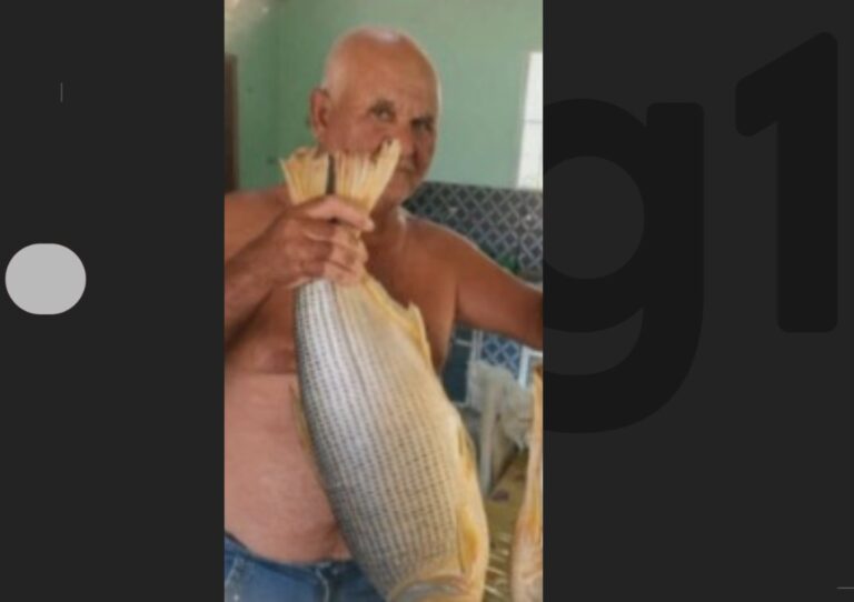 Idoso de 66 anos perde a vida após ataque de abelhas enquanto dirigia trator na Bahia Idoso de 66 anos perde a vida após ataque de abelhas enquanto dirigia trator na Bahia