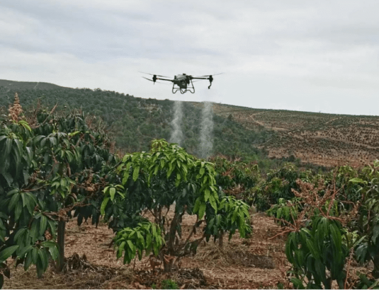 Juazeiro: Drones Agrícolas em Foco no SINDAG Drone Tech na Bahia Juazeiro: Drones Agrícolas em Foco no SINDAG Drone Tech na Bahia